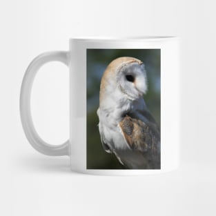 Barn Owl Mug